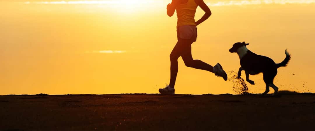 Bieganie z psem: Kompletny poradnik. Zacznij bezpiecznie i z pasją!